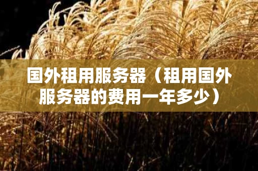 国外租用服务器（租用国外服务器的费用一年多少）