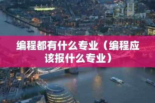 编程都有什么专业（编程应该报什么专业）