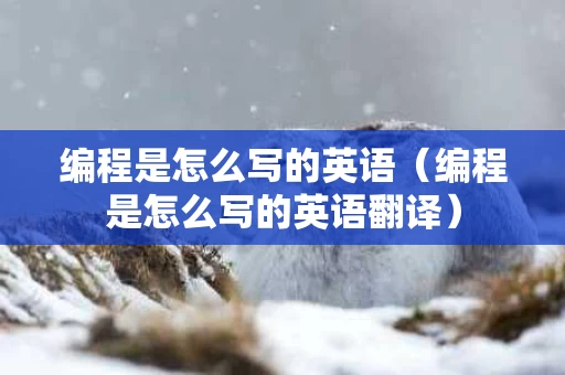 编程是怎么写的英语（编程是怎么写的英语翻译）