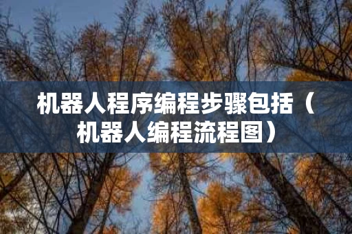 机器人程序编程步骤包括（机器人编程流程图）
