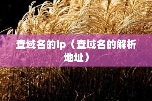 查域名的ip（查域名的解析地址）