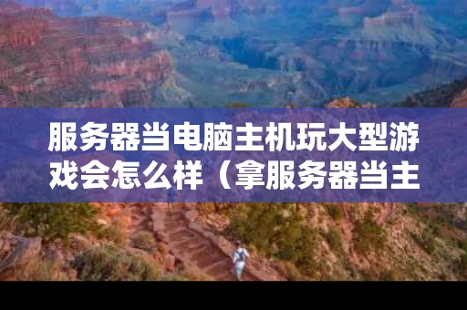 服务器当电脑主机玩大型游戏会怎么样（拿服务器当主机是啥感觉）