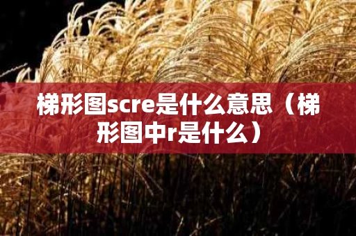 梯形图scre是什么意思（梯形图中r是什么）