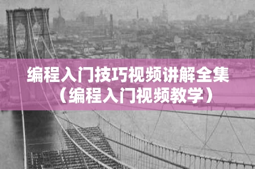 编程入门技巧视频讲解全集（编程入门视频教学）