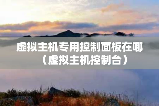 虚拟主机专用控制面板在哪（虚拟主机控制台）