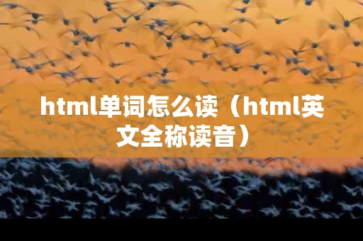 html单词怎么读（html英文全称读音）