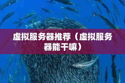 虚拟服务器推荐（虚拟服务器能干嘛）