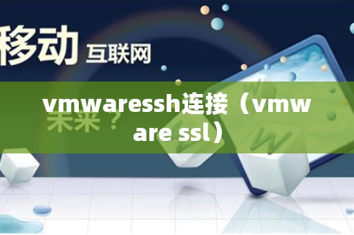 vmwaressh连接（vmware ssl）