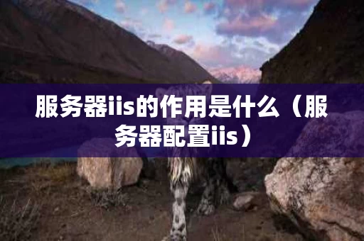 服务器iis的作用是什么（服务器配置iis）
