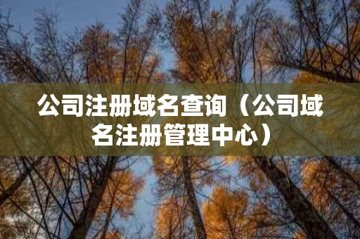 公司注册域名查询（公司域名注册管理中心）