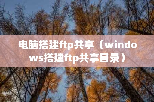 电脑搭建ftp共享（windows搭建ftp共享目录）
