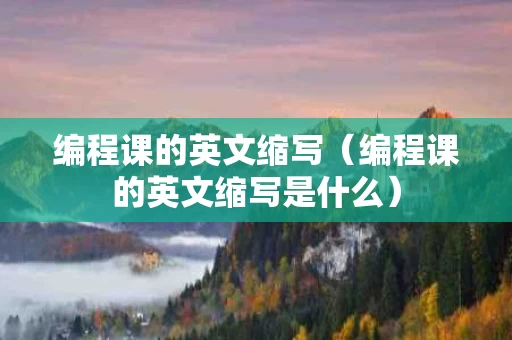 编程课的英文缩写（编程课的英文缩写是什么）