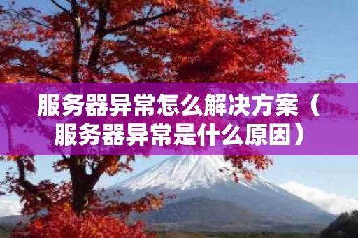 服务器异常怎么解决方案（服务器异常是什么原因）