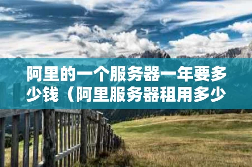 阿里的一个服务器一年要多少钱（阿里服务器租用多少钱一年）