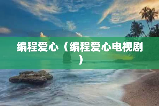 编程爱心（编程爱心电视剧）
