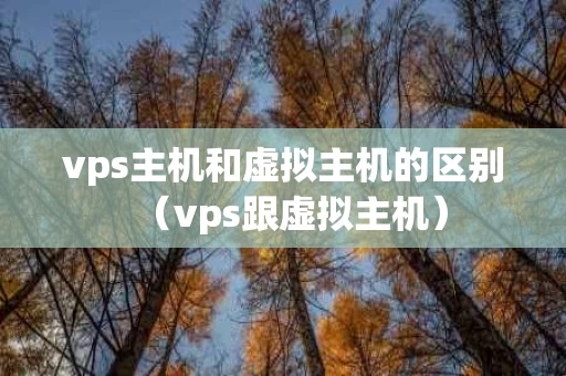 vps主机和虚拟主机的区别（vps跟虚拟主机）