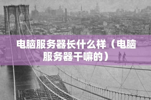 电脑服务器长什么样（电脑服务器干嘛的）
