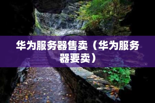 华为服务器售卖（华为服务器要卖）