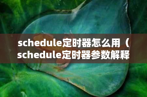 schedule定时器怎么用（schedule定时器参数解释）