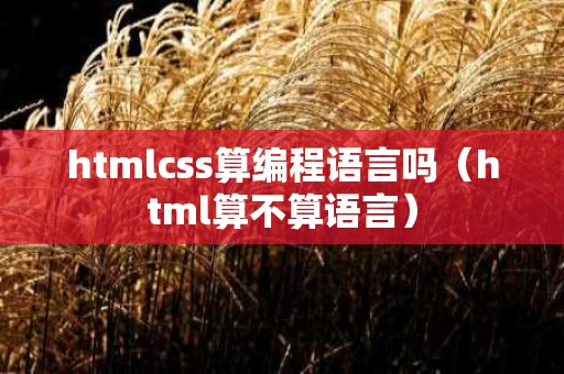 htmlcss算编程语言吗（html算不算语言）