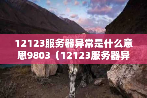 12123服务器异常是什么意思9803（12123服务器异常是什么意思9804）