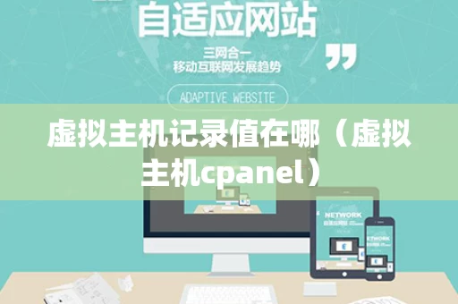 虚拟主机记录值在哪（虚拟主机cpanel）