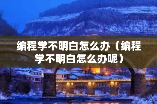编程学不明白怎么办（编程学不明白怎么办呢）