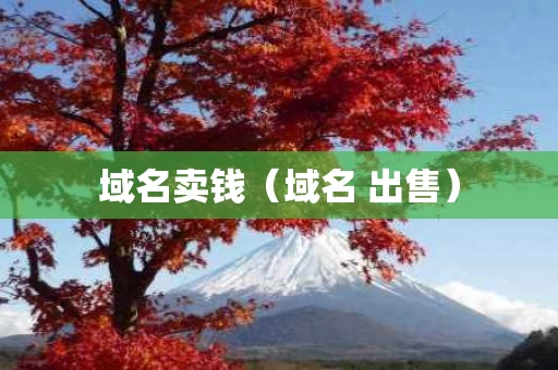 域名卖钱（域名 出售）