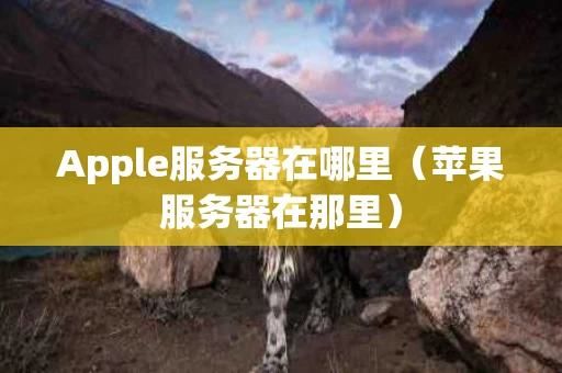 Apple服务器在哪里（苹果服务器在那里）