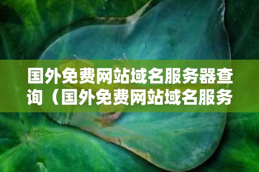 国外免费网站域名服务器查询（国外免费网站域名服务器查询n3cwz）