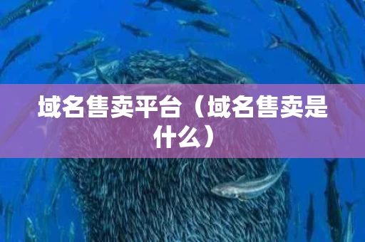 域名售卖平台（域名售卖是什么）