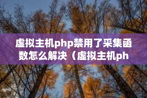 虚拟主机php禁用了采集函数怎么解决（虚拟主机php禁用了采集函数怎么解决呢）
