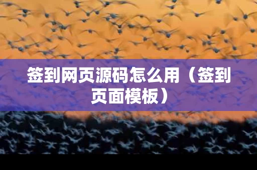 签到网页源码怎么用（签到页面模板）