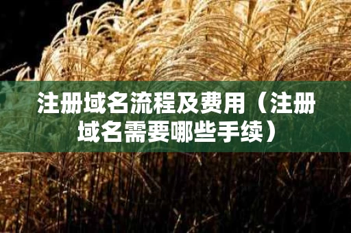 注册域名流程及费用（注册域名需要哪些手续）