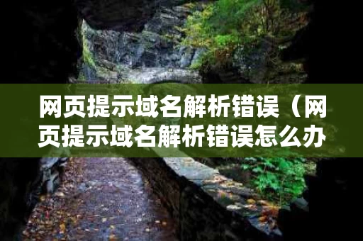 网页提示域名解析错误（网页提示域名解析错误怎么办）