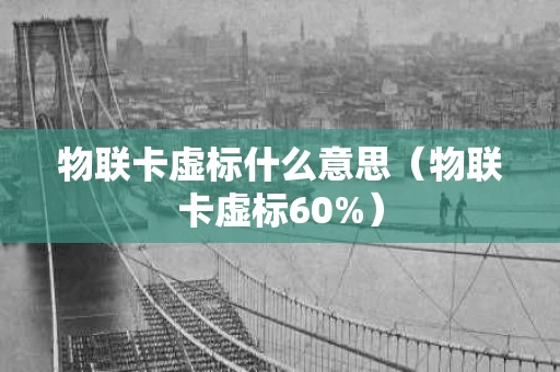 物联卡虚标什么意思（物联卡虚标60%）