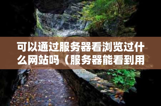 可以通过服务器看浏览过什么网站吗（服务器能看到用户浏览的内容吗）