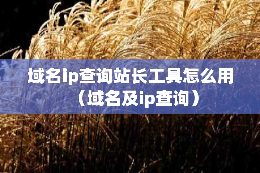 域名ip查询站长工具怎么用（域名及ip查询）