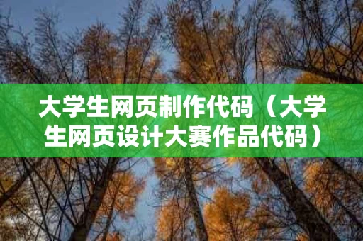 大学生网页制作代码（大学生网页设计大赛作品代码）