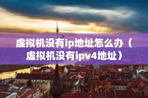 虚拟机没有ip地址怎么办（虚拟机没有ipv4地址）