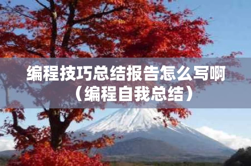 编程技巧总结报告怎么写啊（编程自我总结）