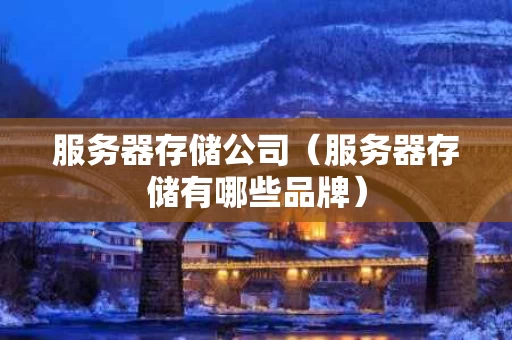 服务器存储公司（服务器存储有哪些品牌）