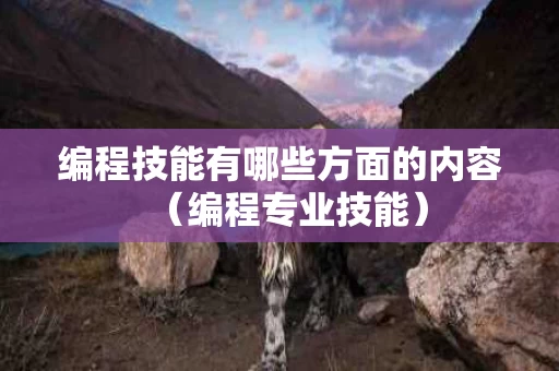 编程技能有哪些方面的内容（编程专业技能）