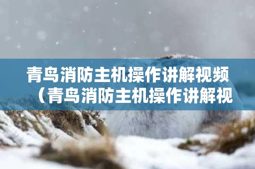 青鸟消防主机操作讲解视频（青鸟消防主机操作讲解视频教程）