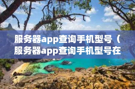 服务器app查询手机型号（服务器app查询手机型号在哪里）