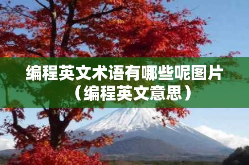 编程英文术语有哪些呢图片（编程英文意思）