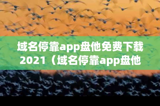 域名停靠app盘他免费下载2021（域名停靠app盘他免费下载安装2024年版）