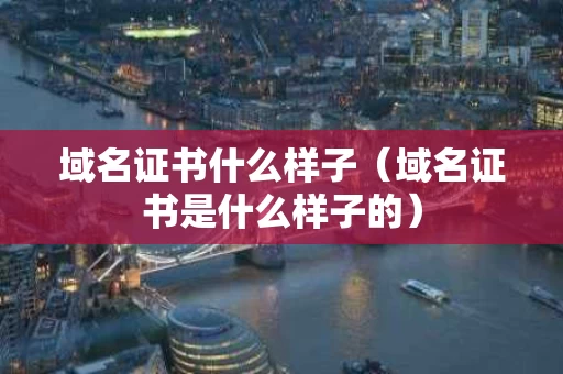 域名证书什么样子（域名证书是什么样子的）