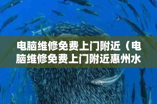 电脑维修免费上门附近（电脑维修免费上门附近惠州水口镇）