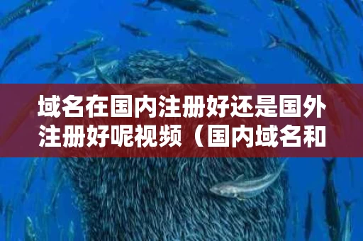域名在国内注册好还是国外注册好呢视频（国内域名和国际域名的申请注册过程）
